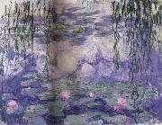 Water Lilies